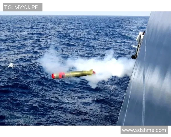 深圳排球队速度之争引发热议球迷观点各异如何看待这一现象