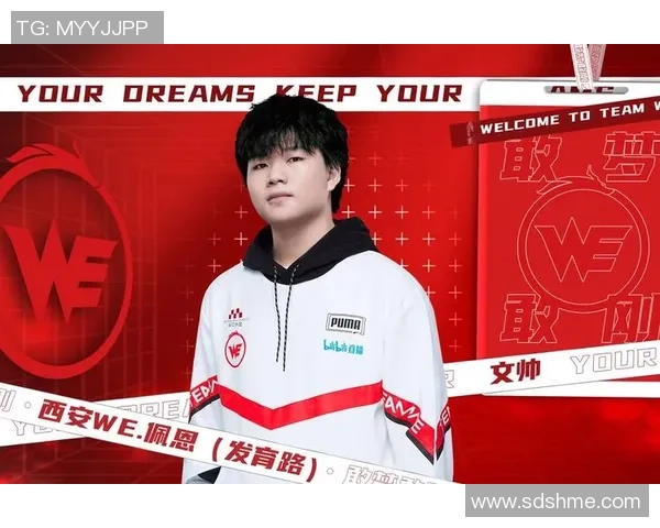 王者荣耀个人能力排行榜揭晓WE战队表现突出引领潮流